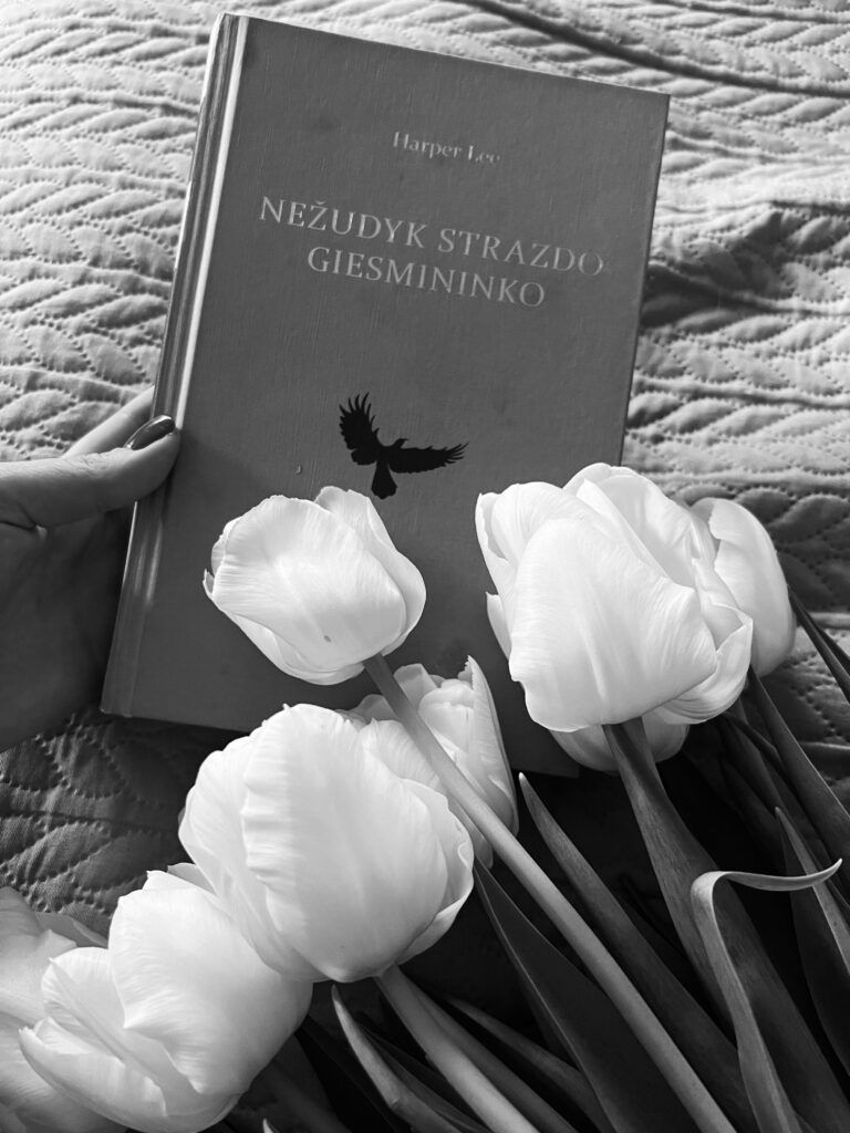 Harper Lee- Nezudyk strazdo giesmininko