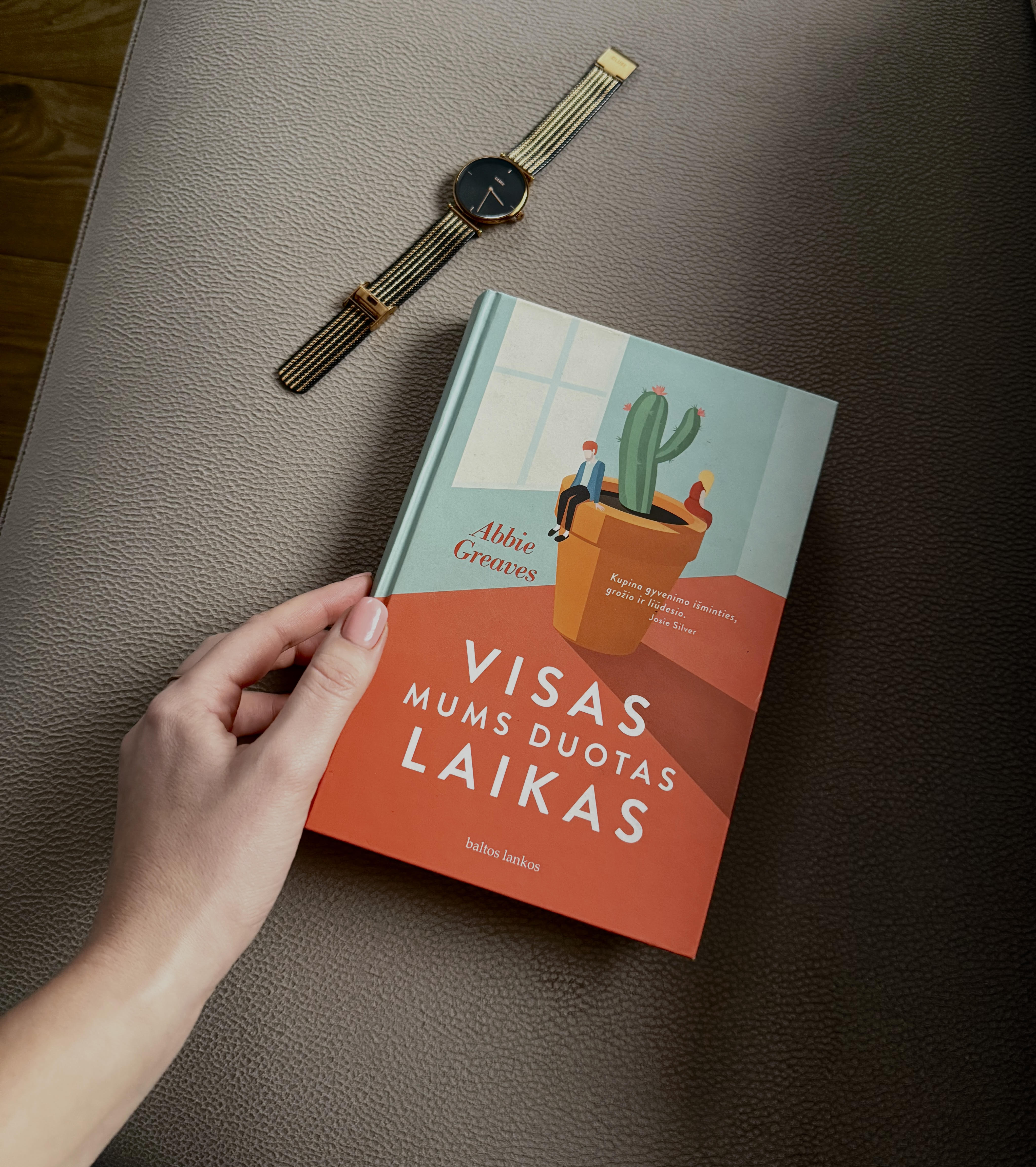 knyga Abbie Greaves „Visas mums duotas laikas“